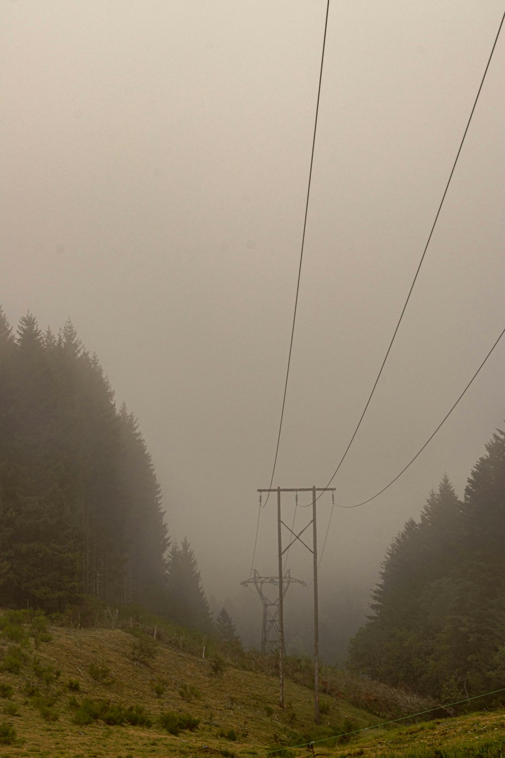 a couple of power lines on a foggy day