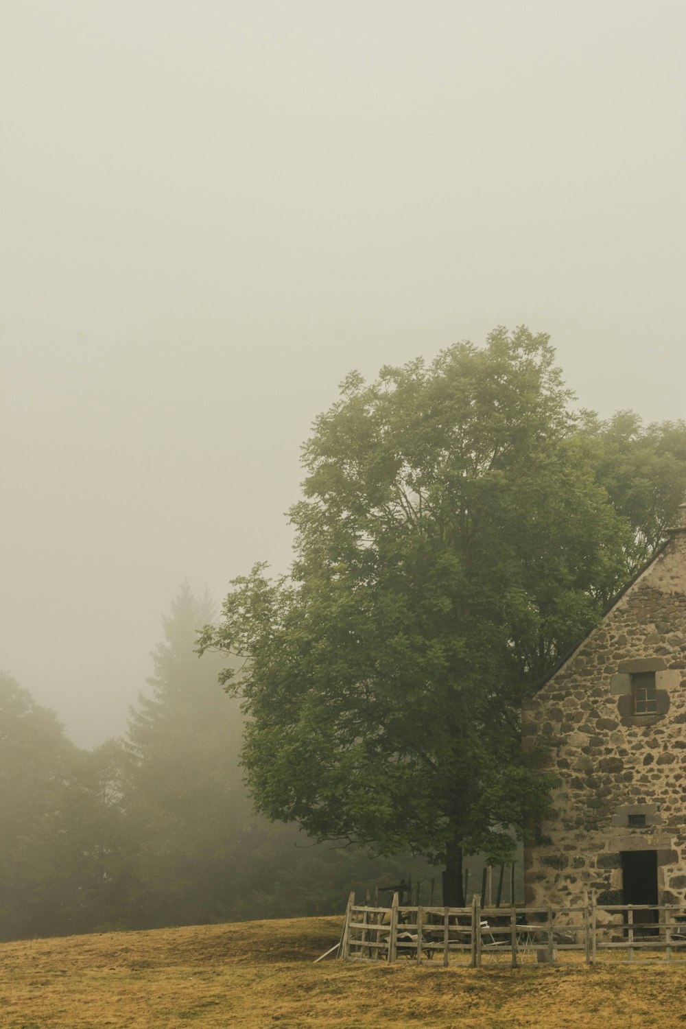 a stone building with a tree in the background