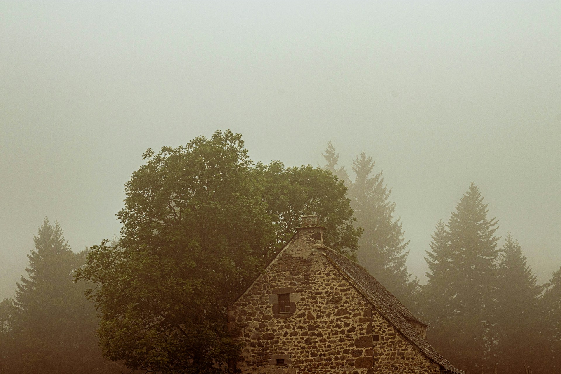 green trees beside house during daytime