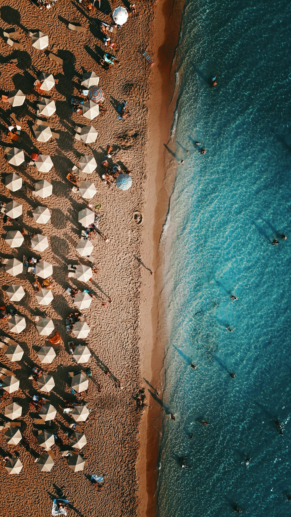 a group of people standing on top of a sandy beach