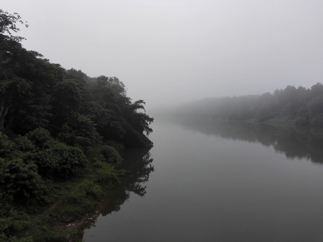 River photo spot Moorkanad School Bridge India