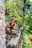 A warm, smiling person reading a devotional blog on a cozy wooden porch surrounded by greenery.
