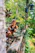 A warm, smiling person reading a devotional blog on a cozy wooden porch surrounded by greenery.