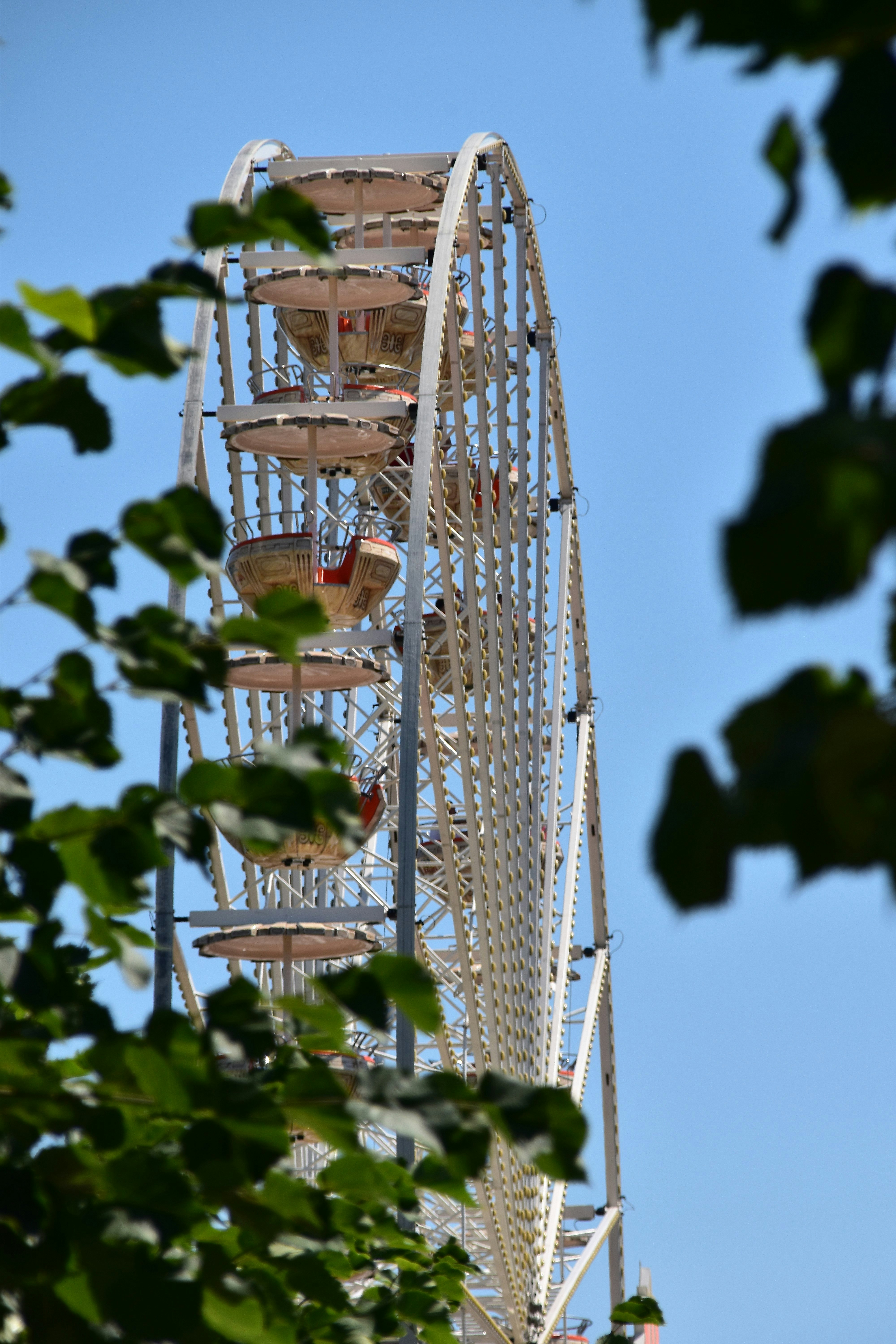 white Ferris Wheel