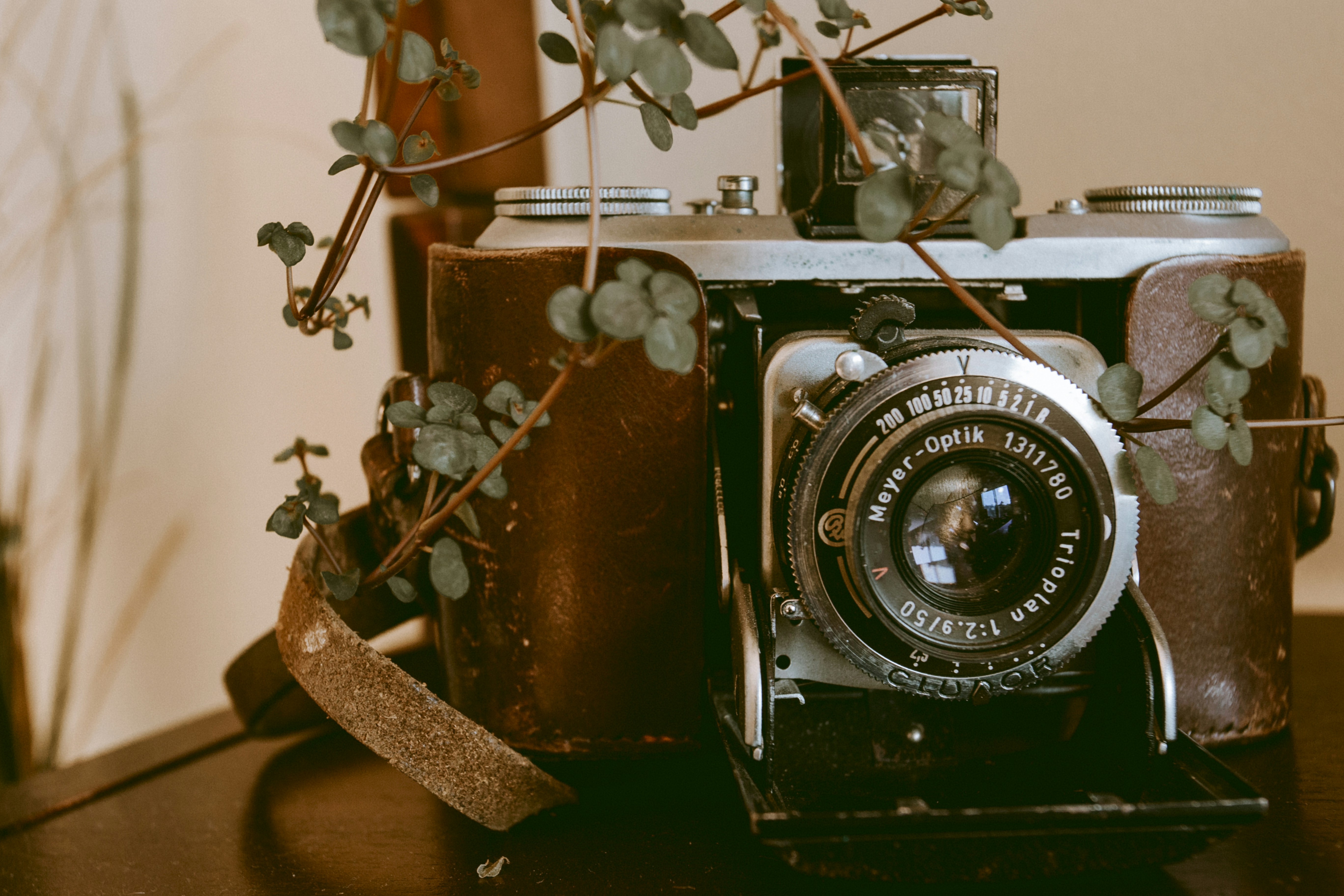 Photo by natashareddy