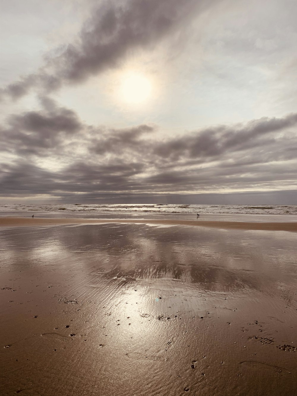 seashore under white sky