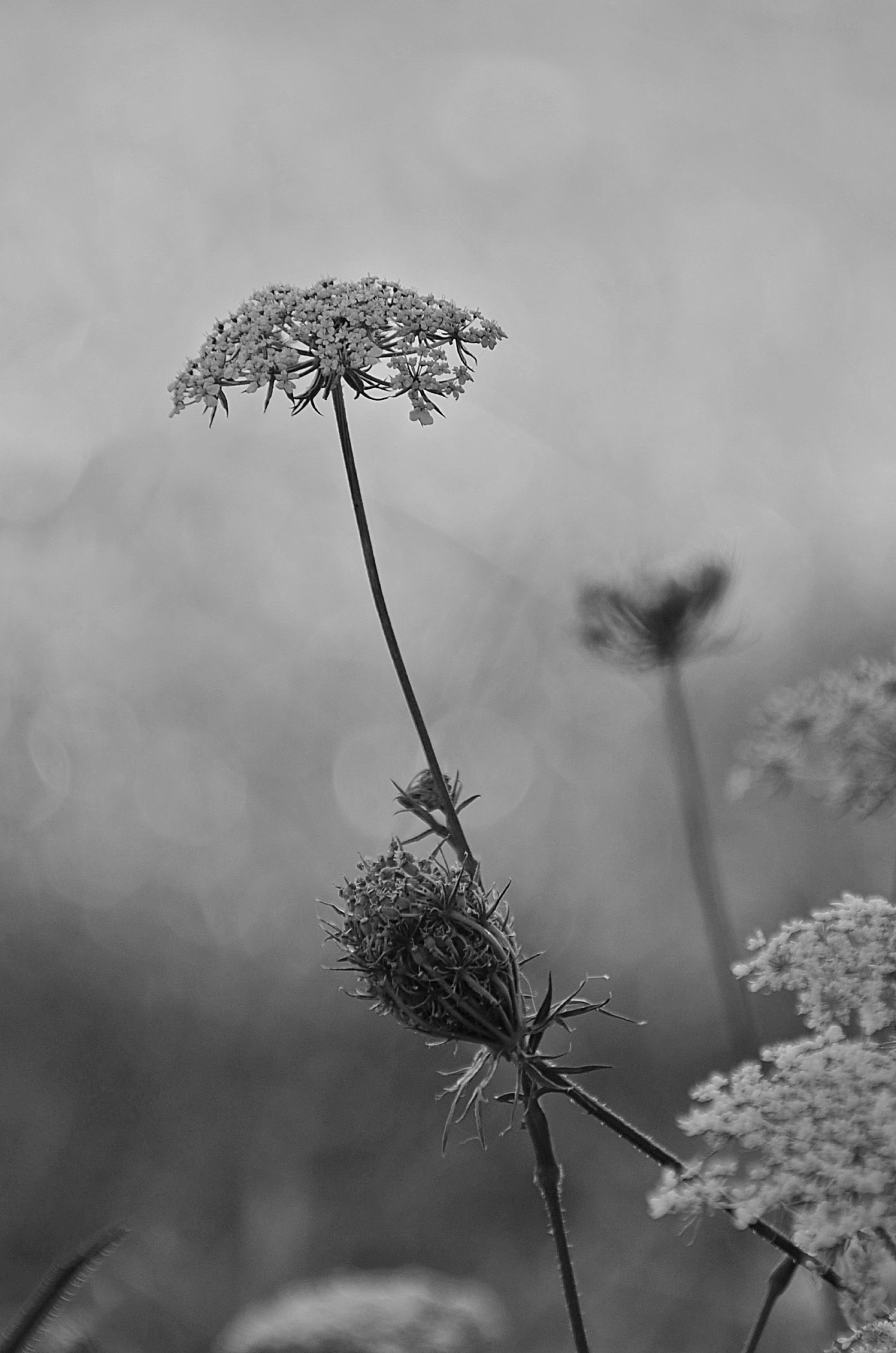 Photo by mariobeducci