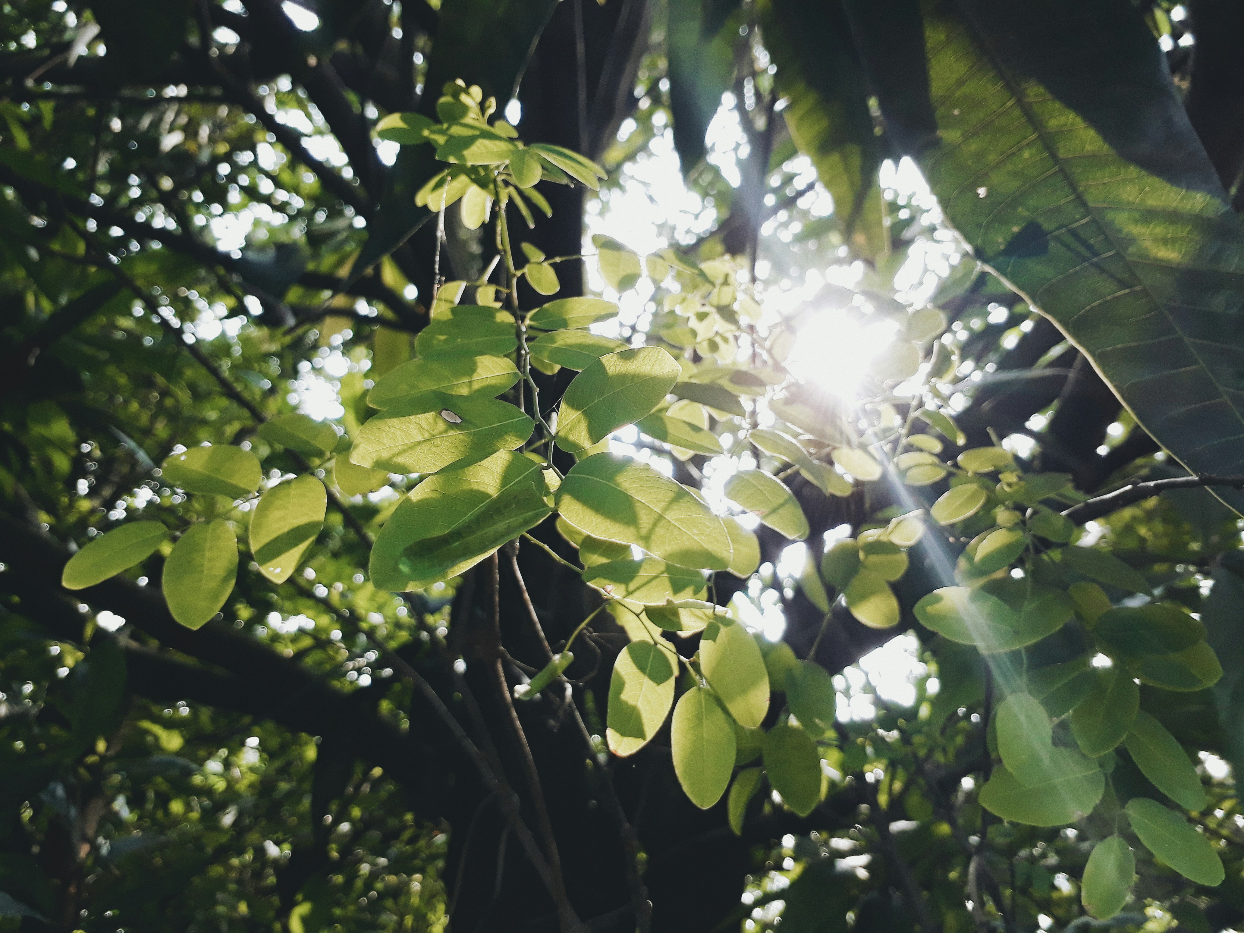 Photo by wildgreyice