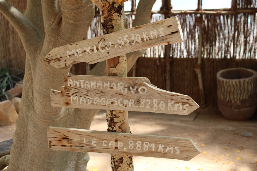 a tree with a bunch of wooden signs on it