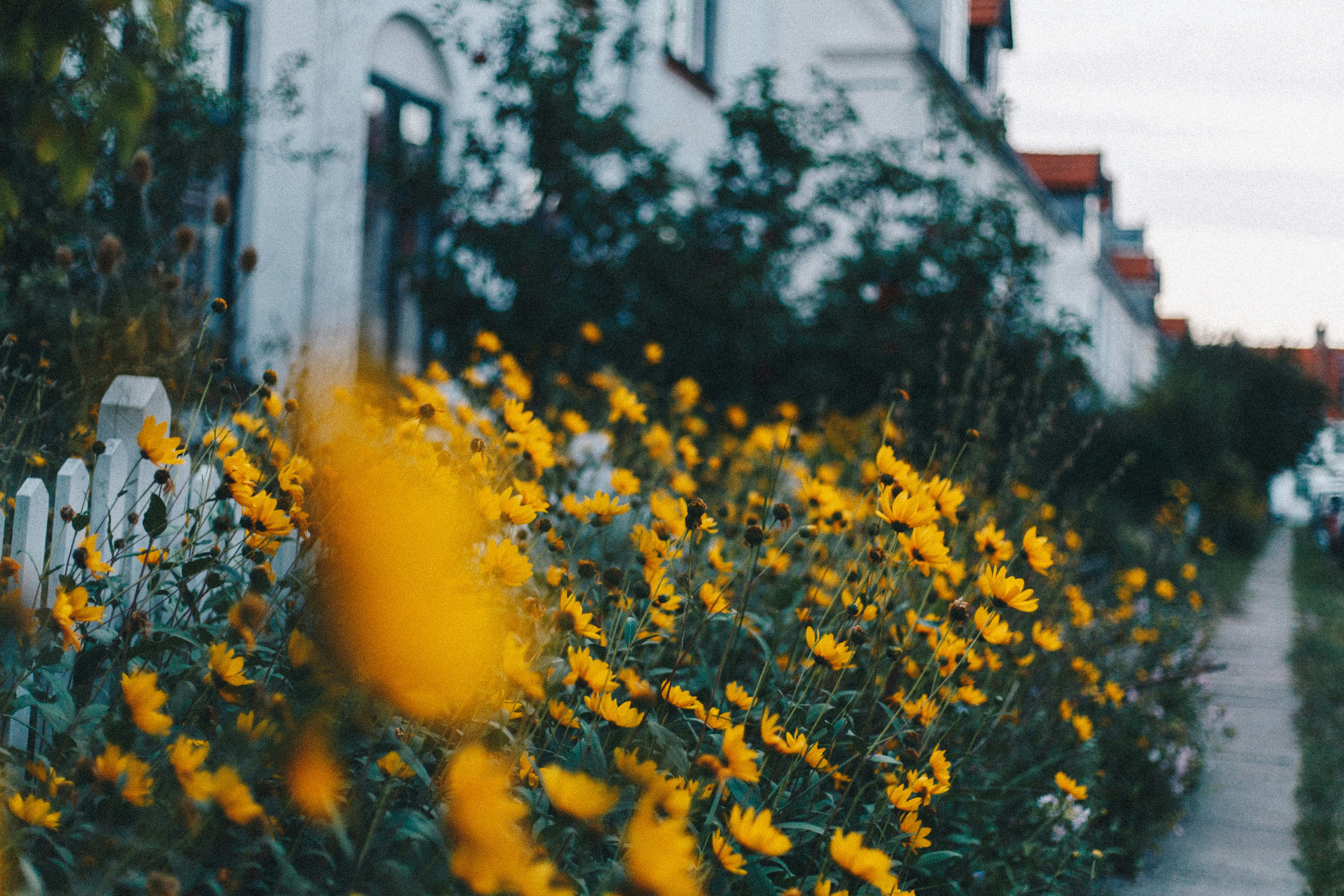 Photo by turutututuu