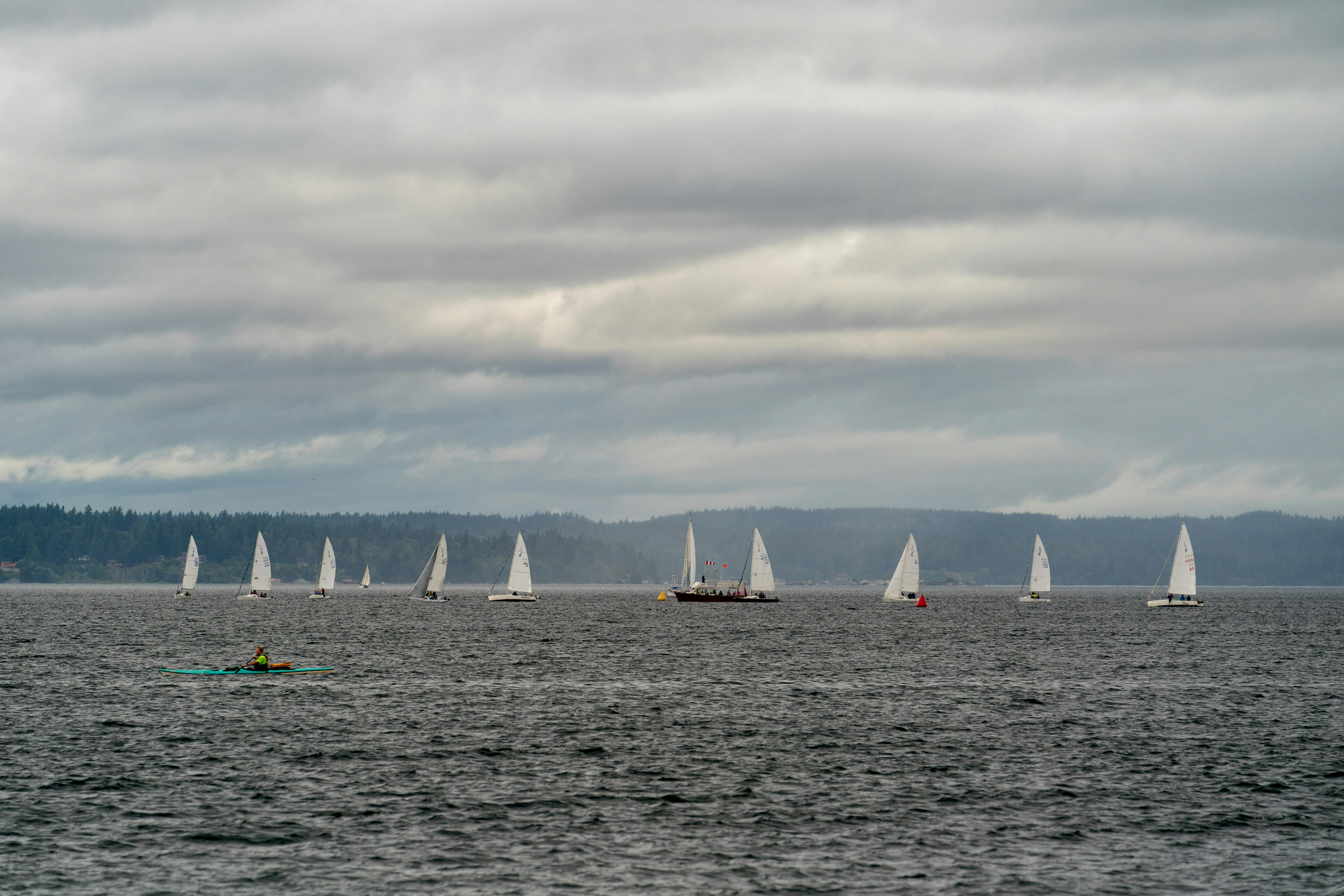 Photo by inertkrypton