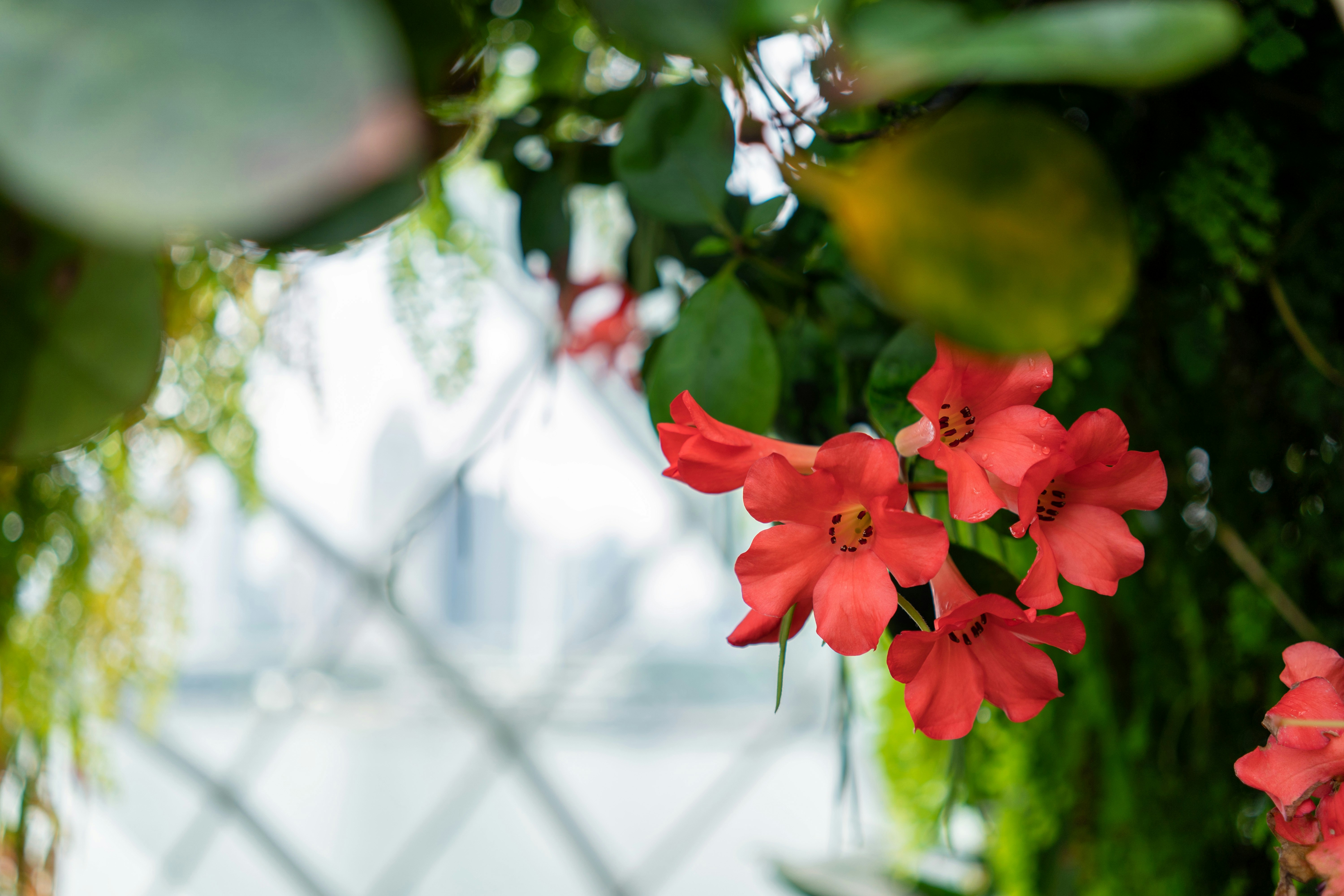 Photo by inertkrypton