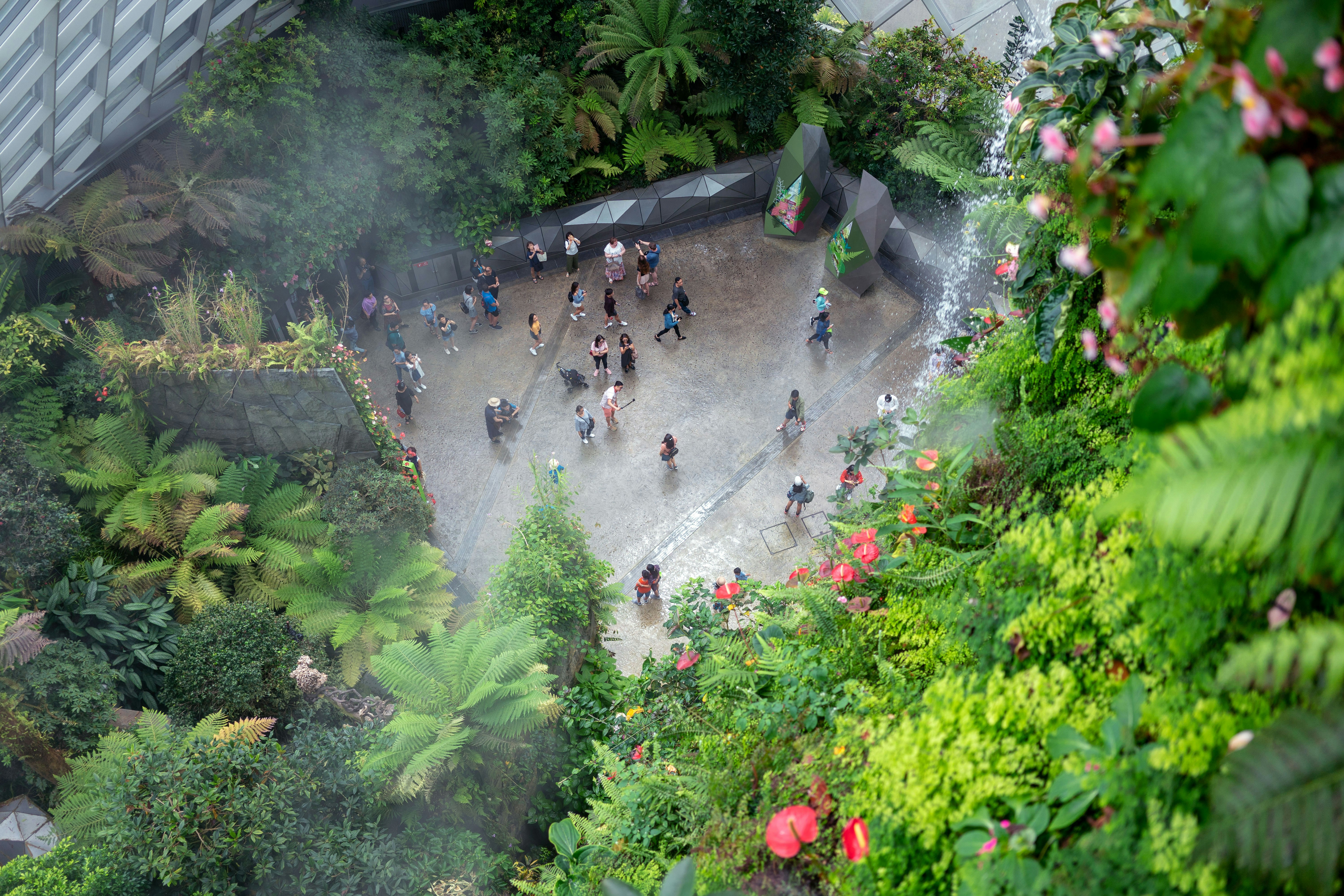 a group of people walking around a lush green forest