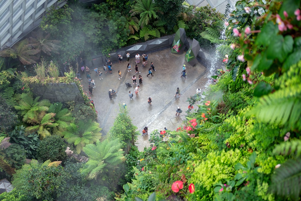 a group of people walking around a lush green forest