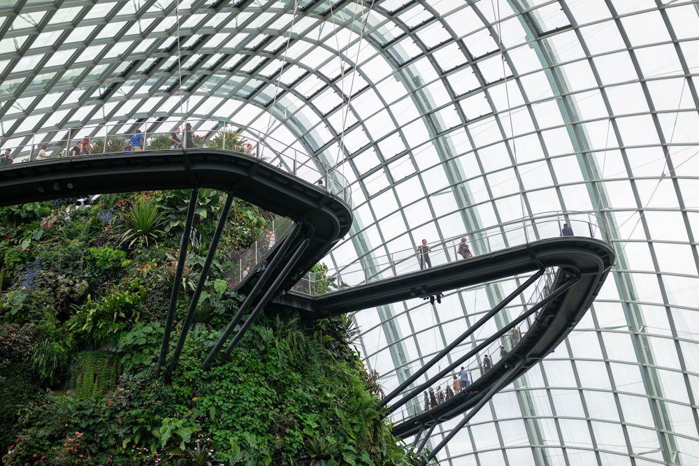 a very tall building with a lot of plants growing on it