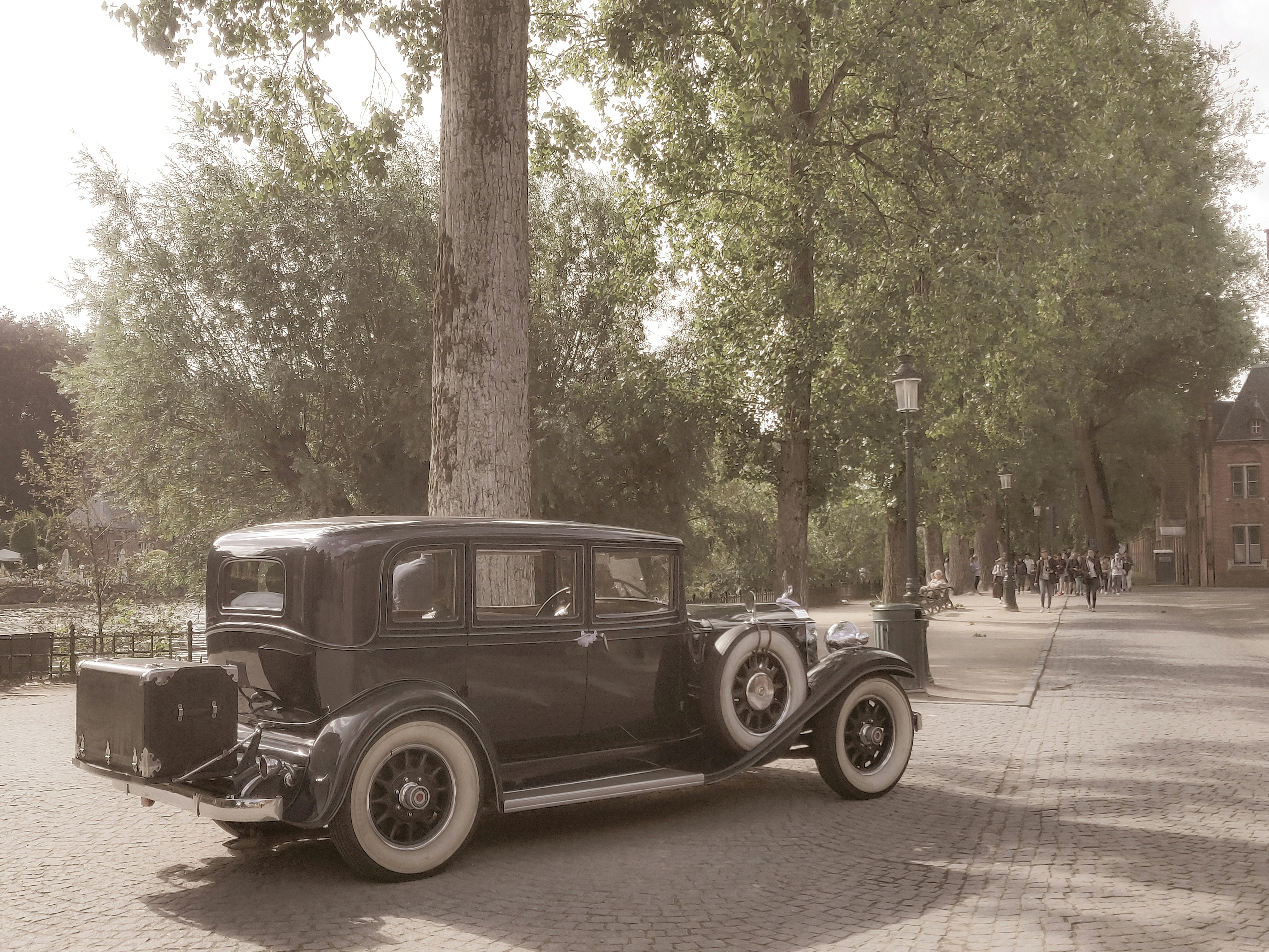 Photo by banibratosinha98