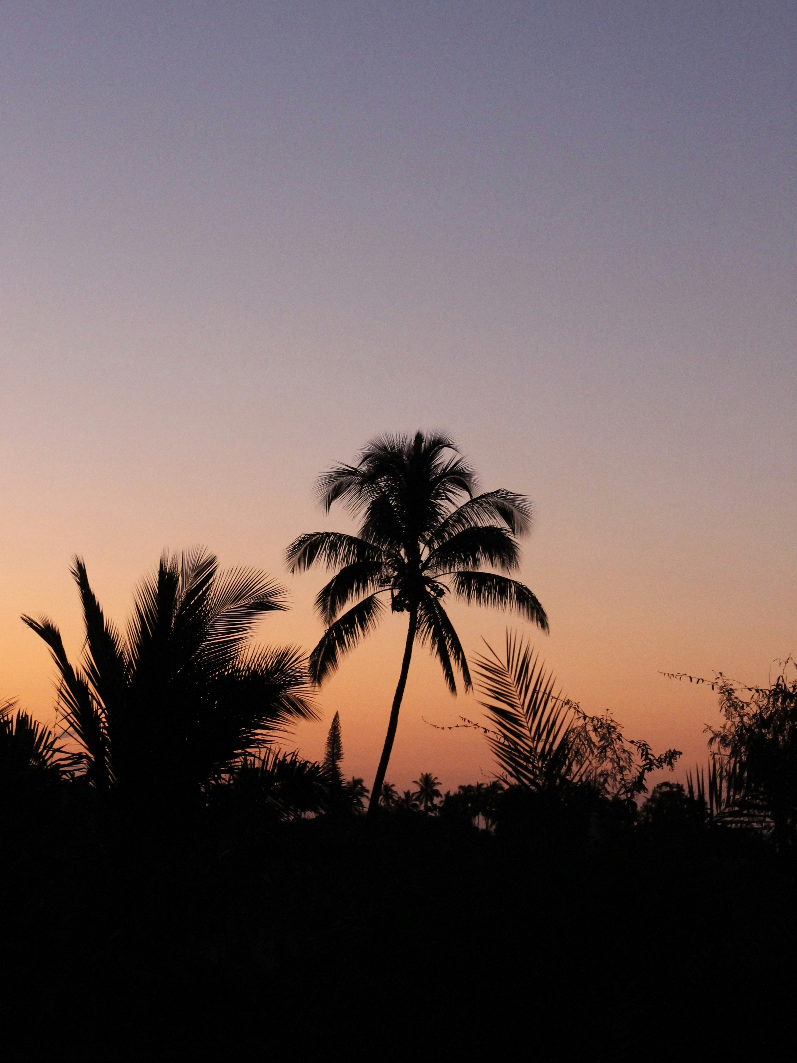 Photo by themiscellanista