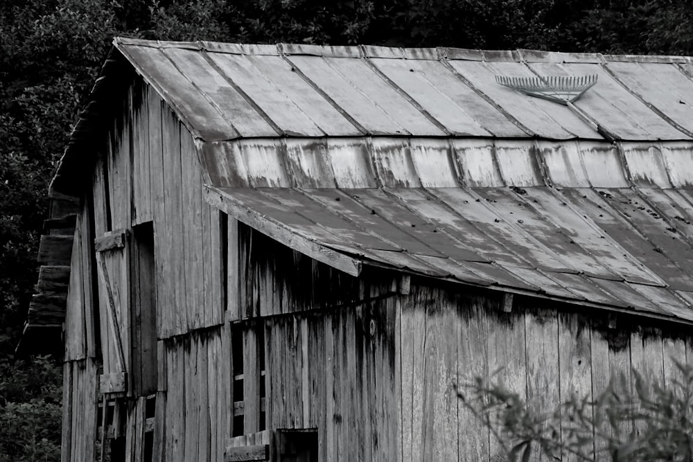 grayscale photogarphy of shed