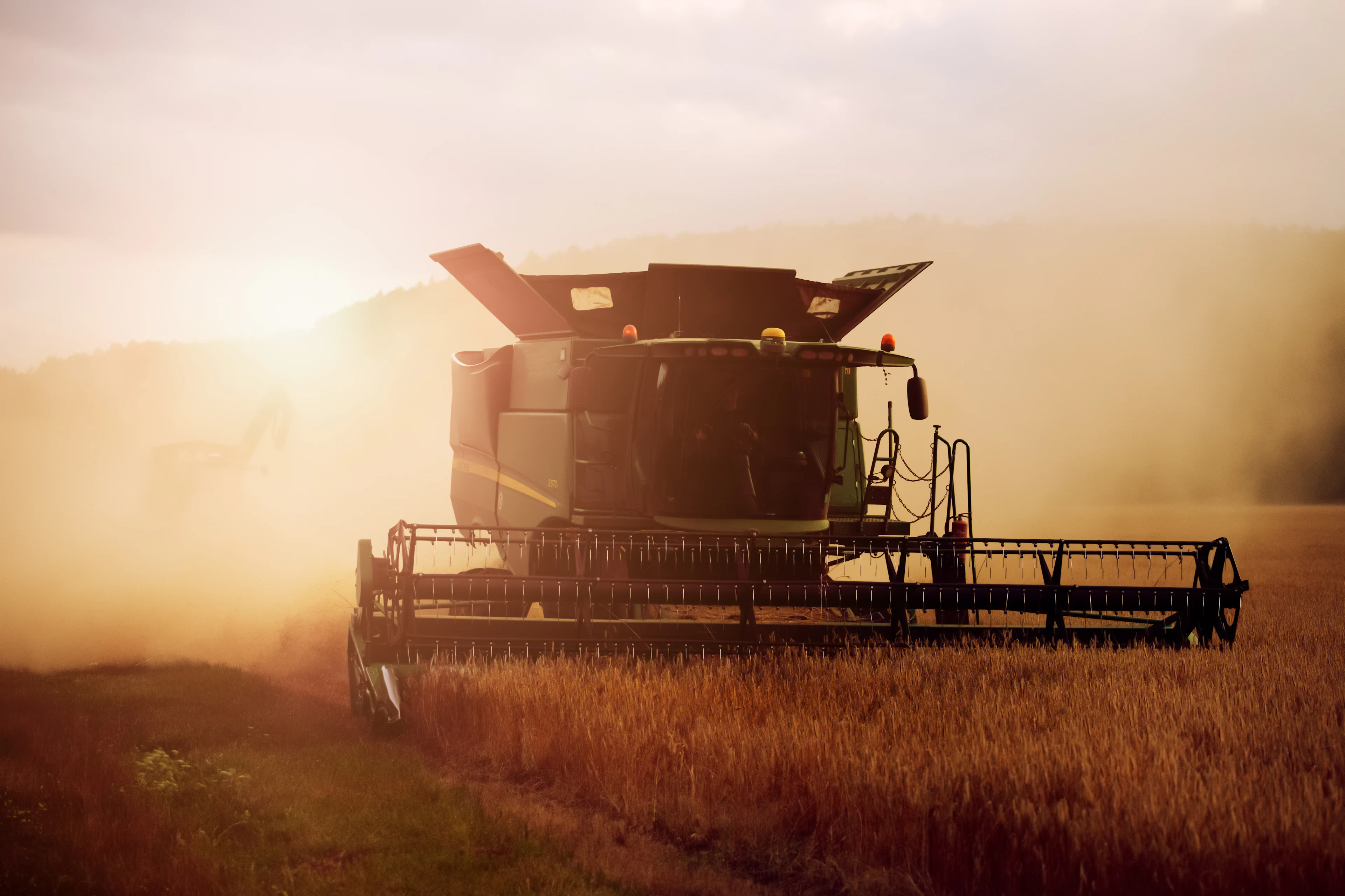 Combine harvester working a grain field
