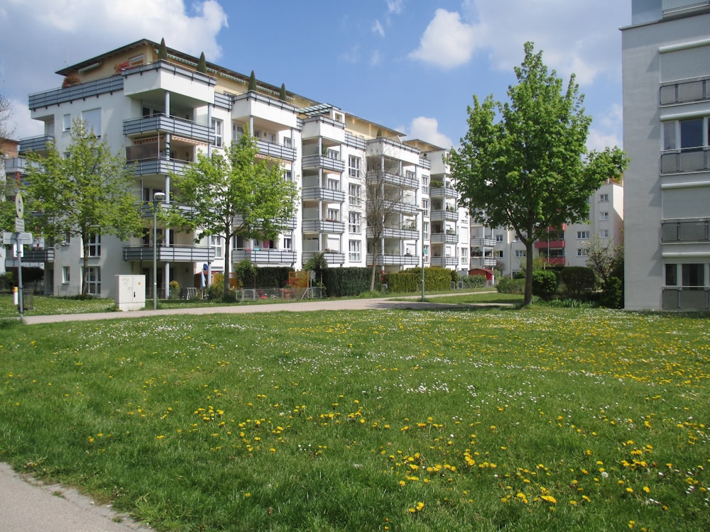 white concrete buildings near trees