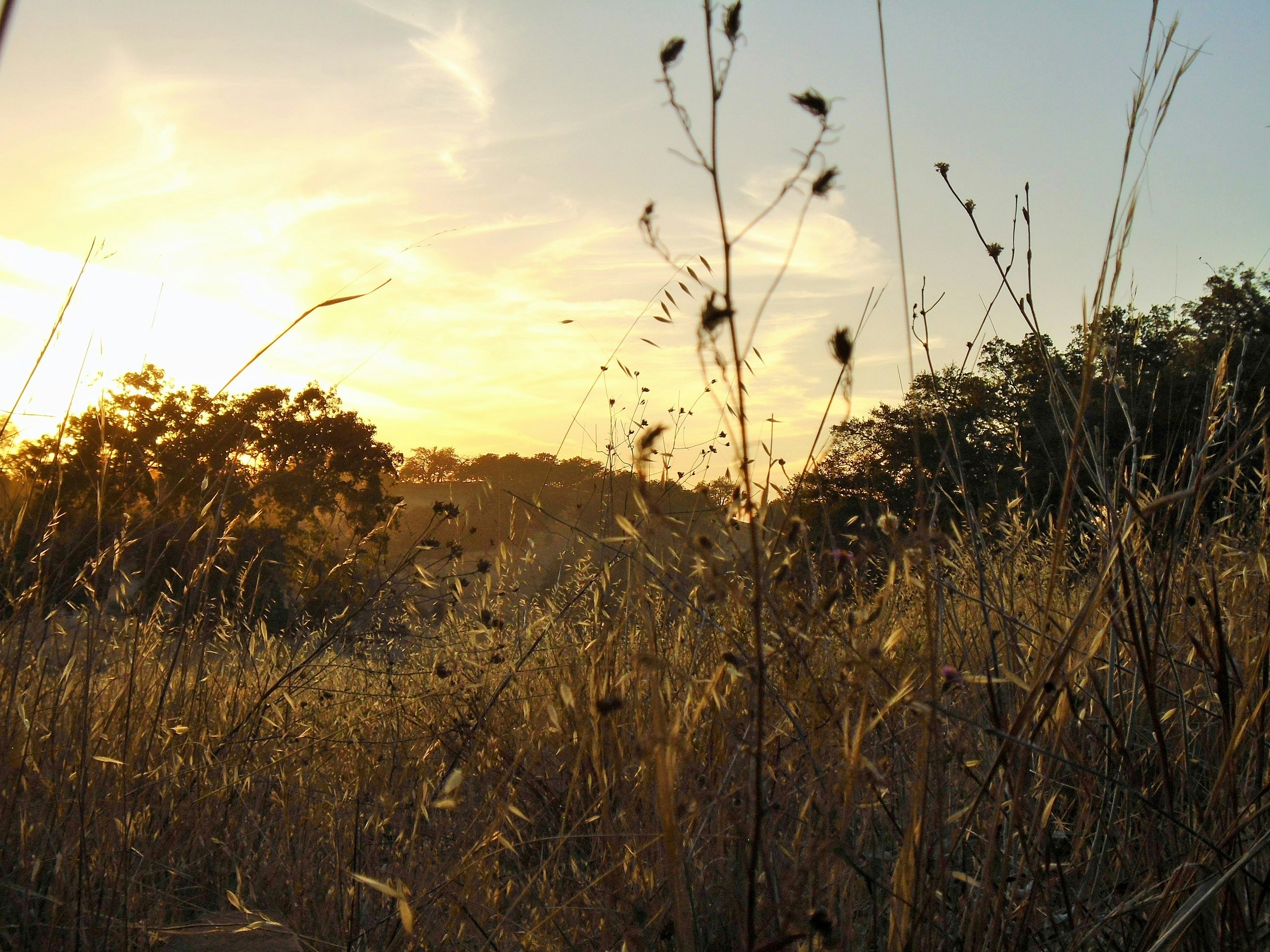 Photo by _phoenixrising_