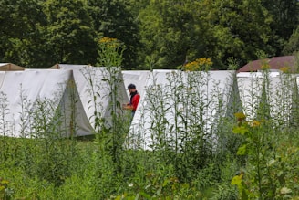 A series of white tents are set up in a natural setting surrounded by tall green plants and trees. A person in a red shirt is visible near the tents, appearing to be engaged with something in their hands.