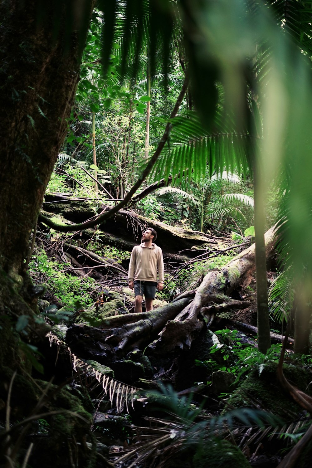 man in forest