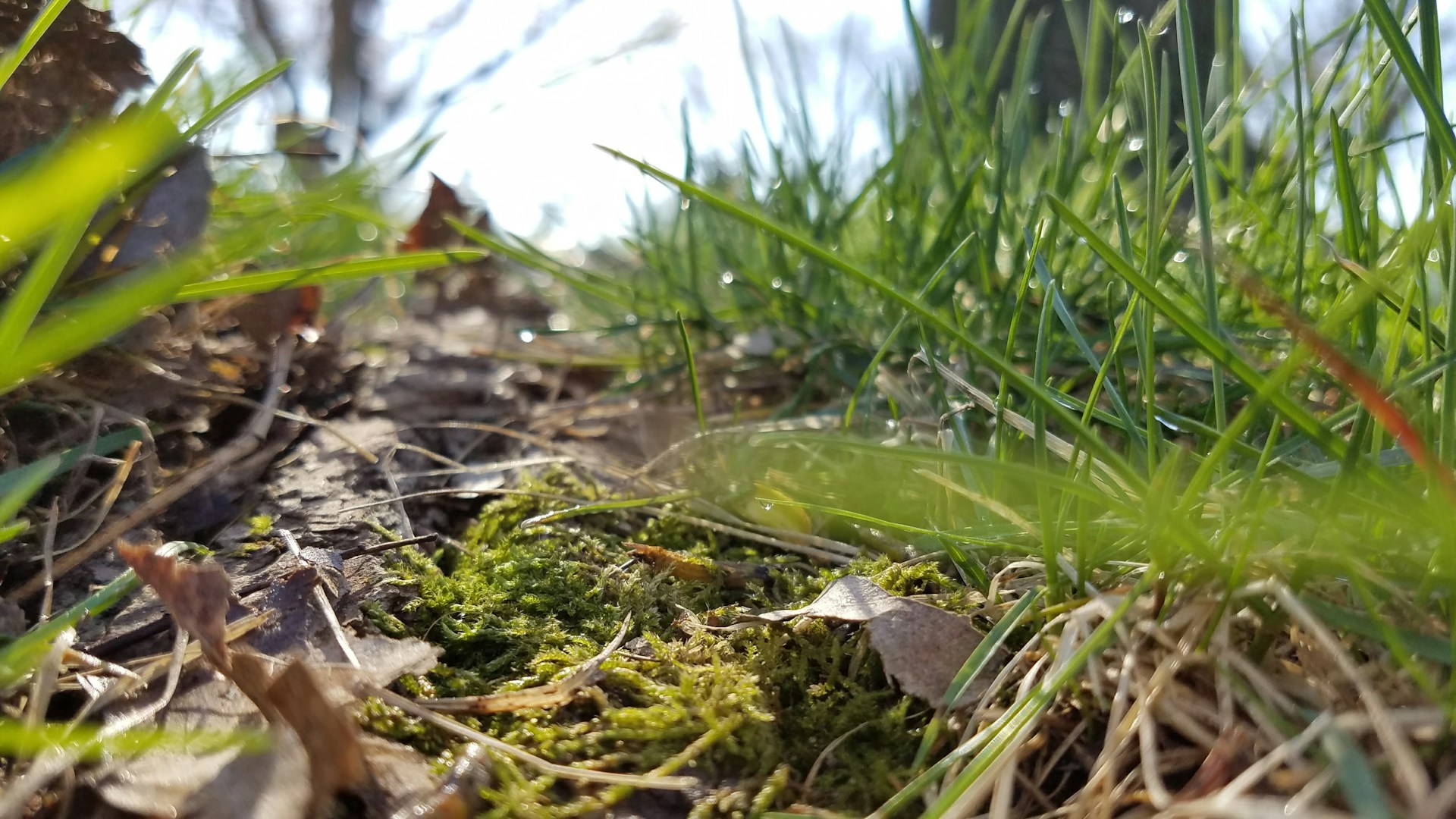 woman wearing yellow long-sleeved dress under white clouds and blue sky during daytime