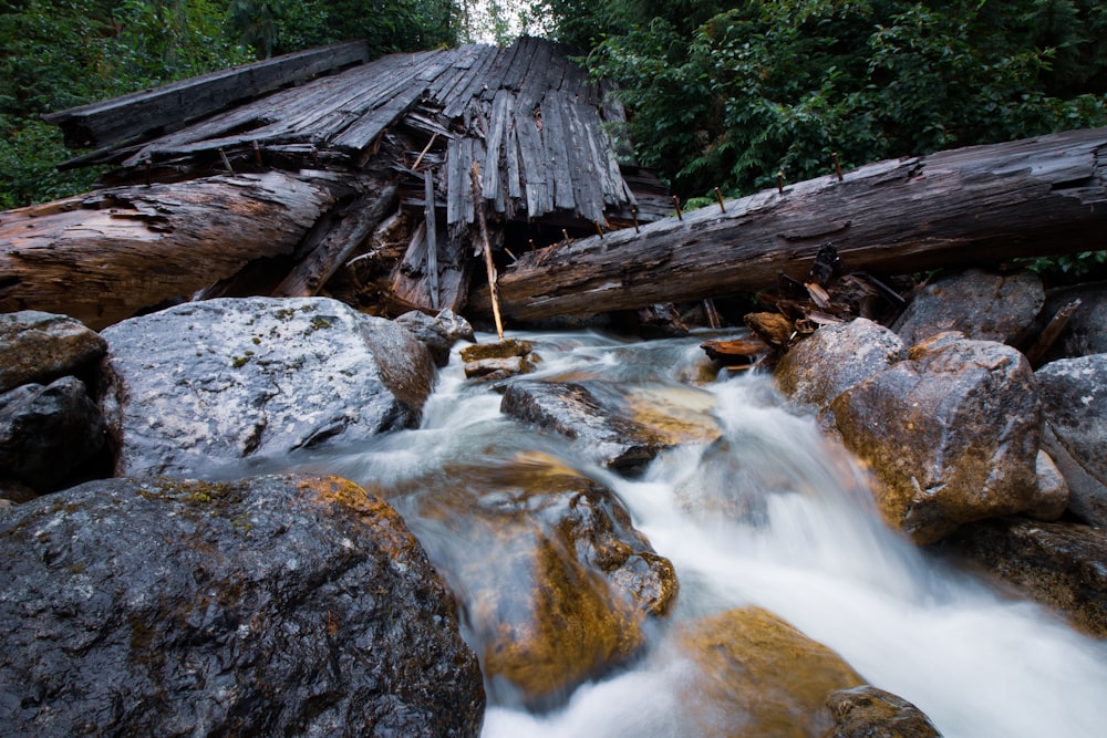 Stack di strutture in legno marroni rotte sul fiume tra alberi verdi