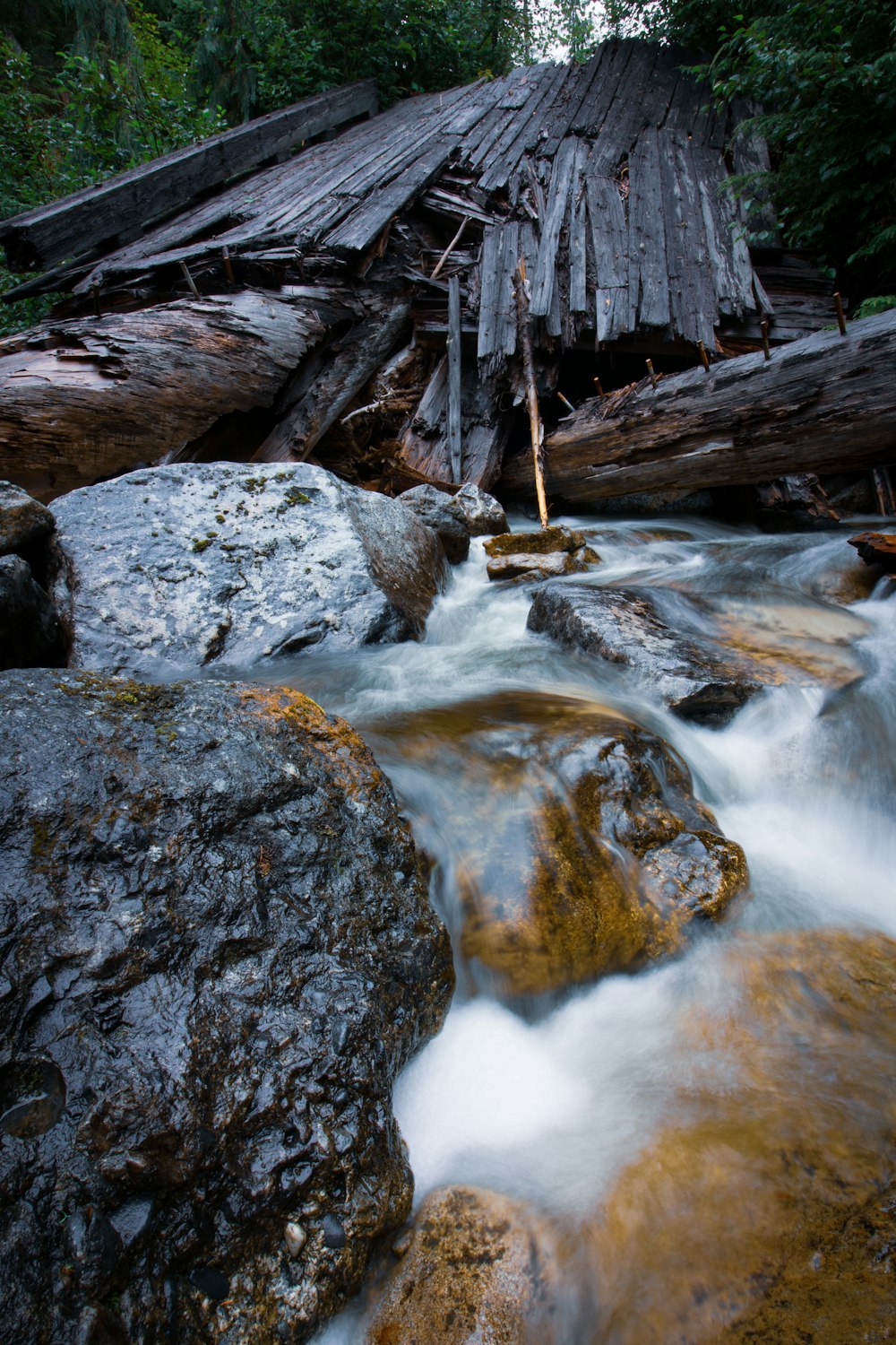 a stream running through a forest filled with rocks