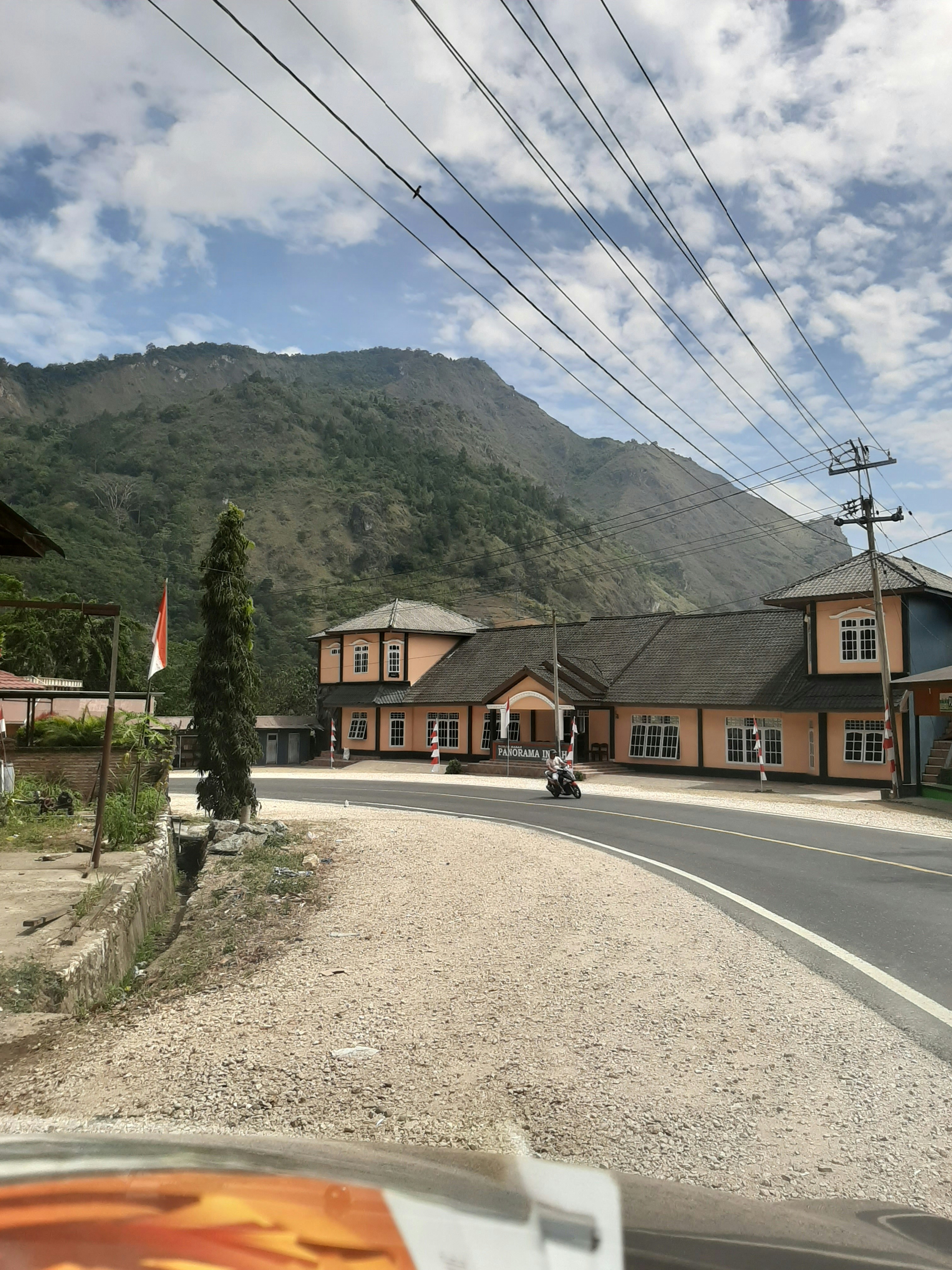 black and brown horse