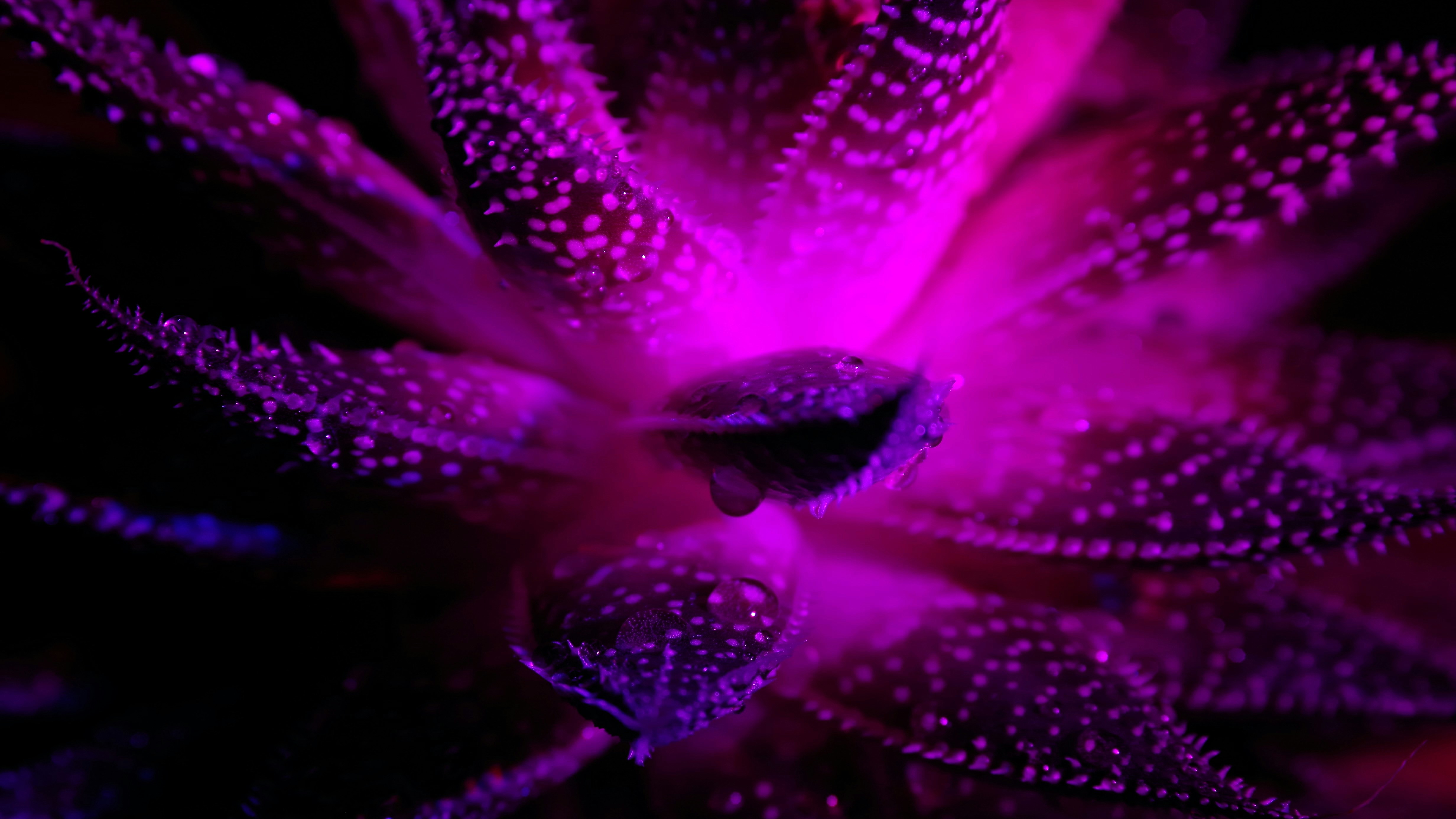 Photo by fightsticker