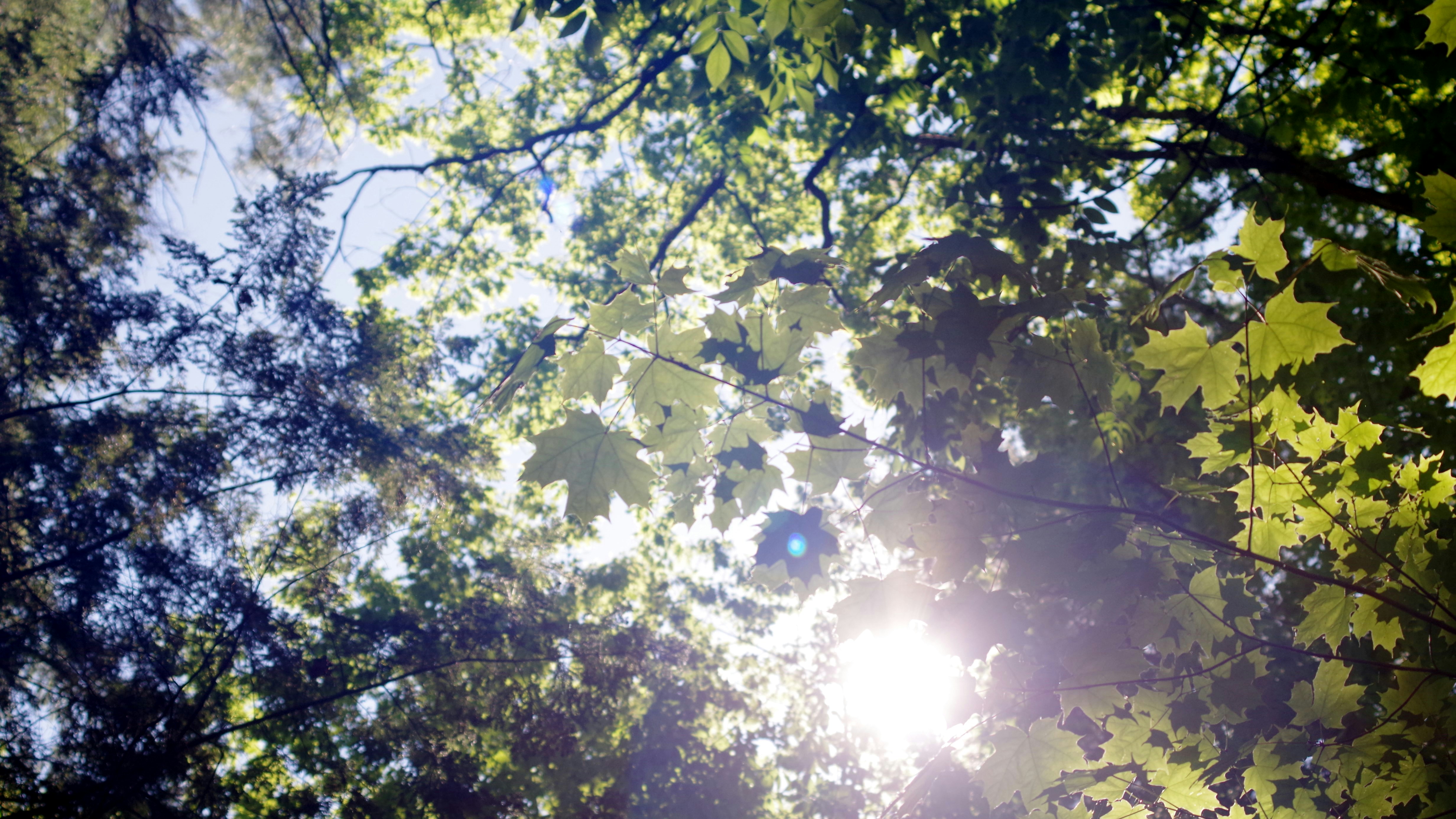 Photo by fightsticker