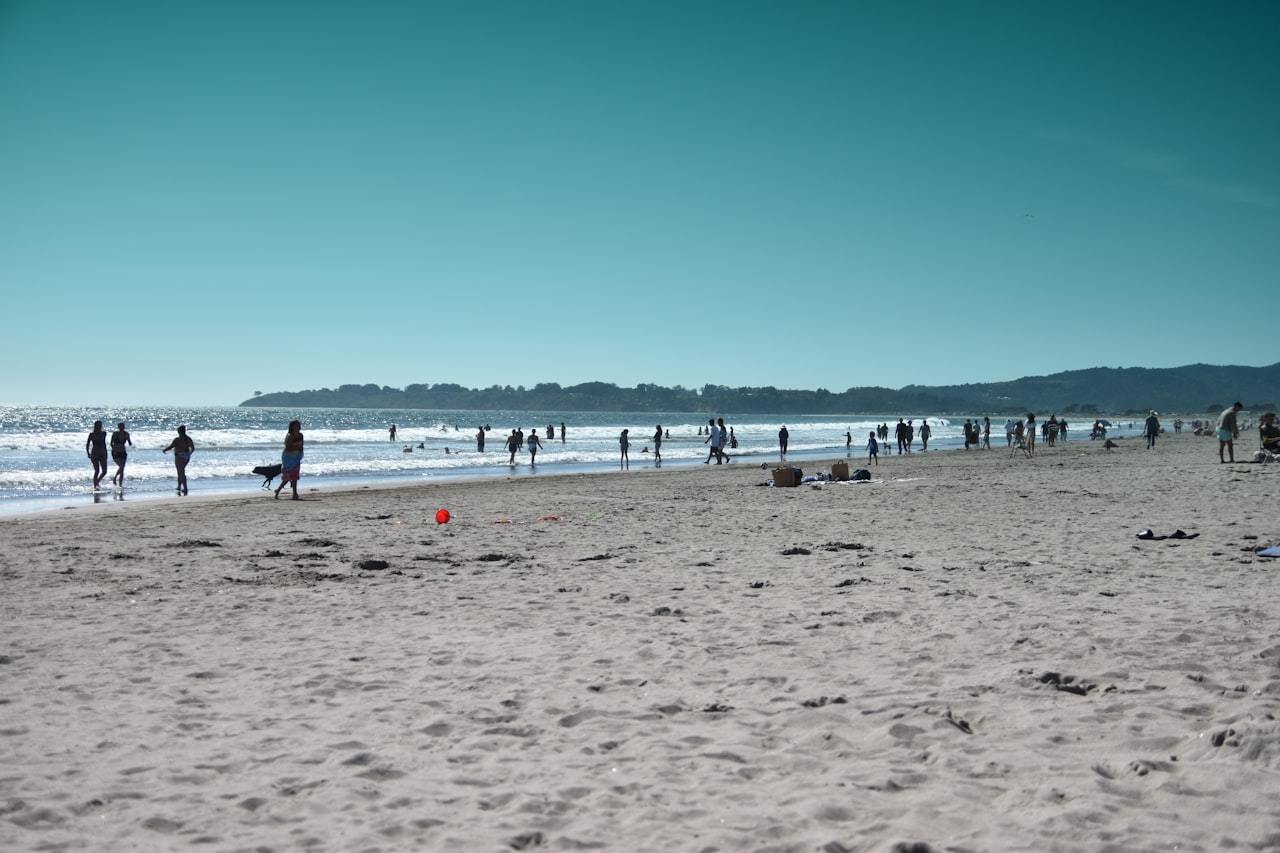 Sea, Sand, Serenity: Marin County’s Best Beaches