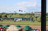 A group of excited people watching a horse race on a big screen at a betting venue.