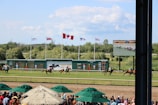 A horse racing event is taking place on a sunny day, with a racecourse surrounded by greenery. Several horses with jockeys are actively racing across the track. Spectators are gathered under shaded canopies in the foreground. Multiple flags, including a prominent Canadian flag, are flying above a scoreboard, and a large screen displays the race.