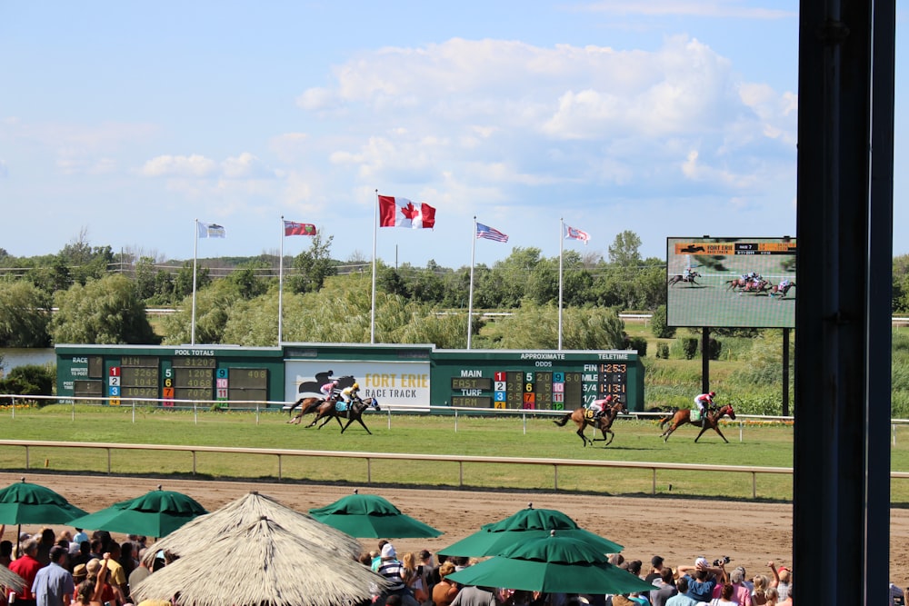 time-lapse photography of horses in a race track