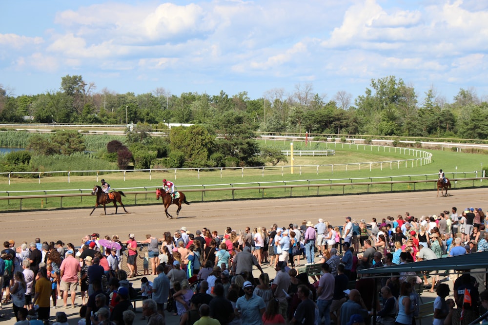 people watching horse race at daytime