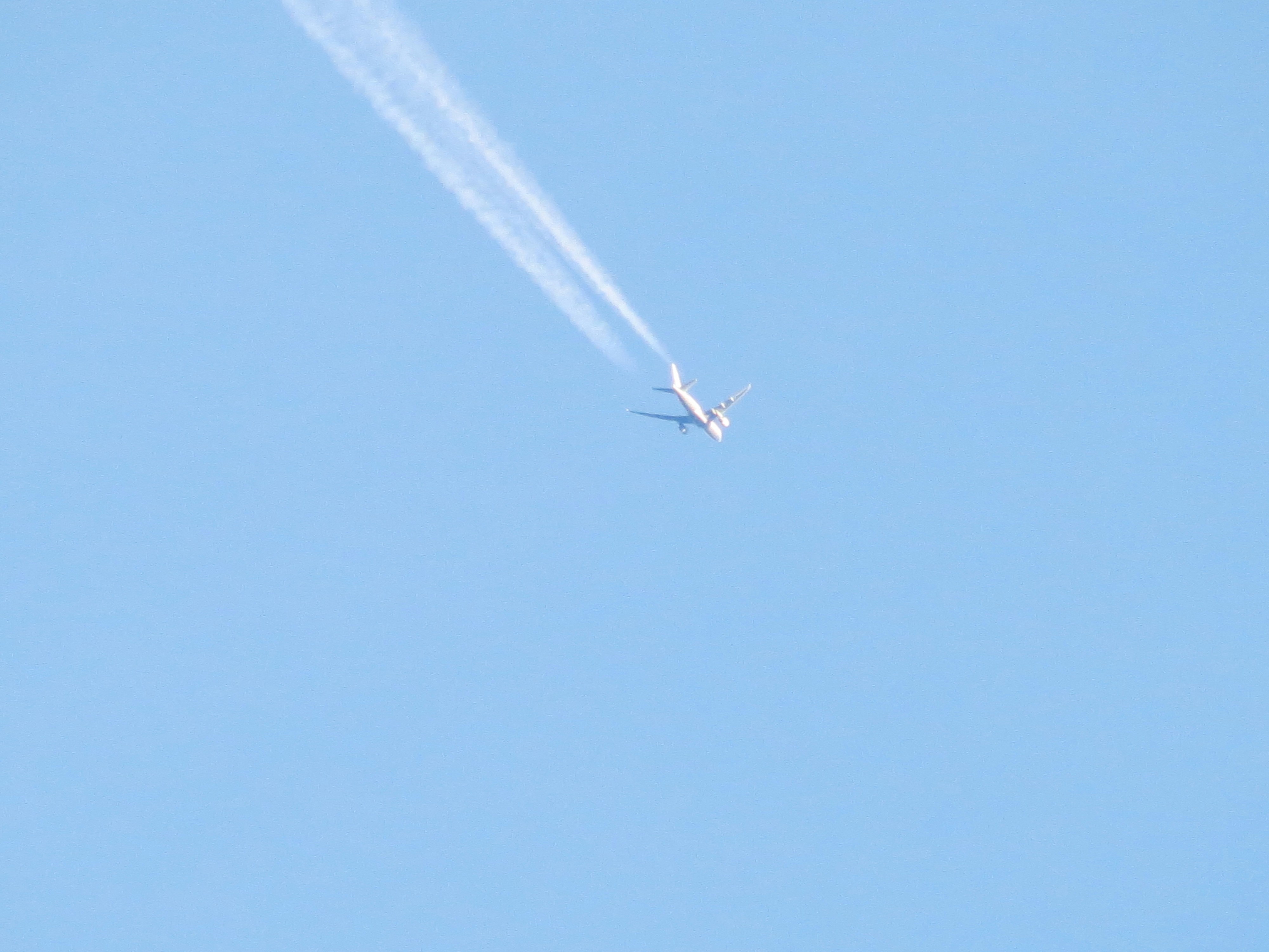 Photo by dienyportinanni