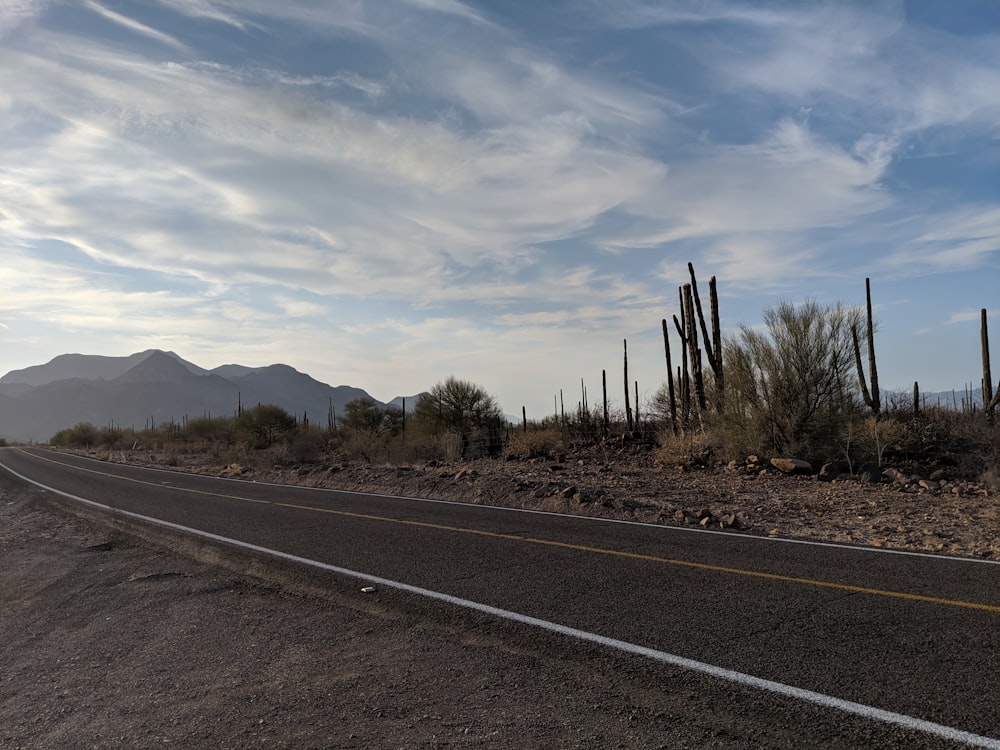 gray and white asphalt road