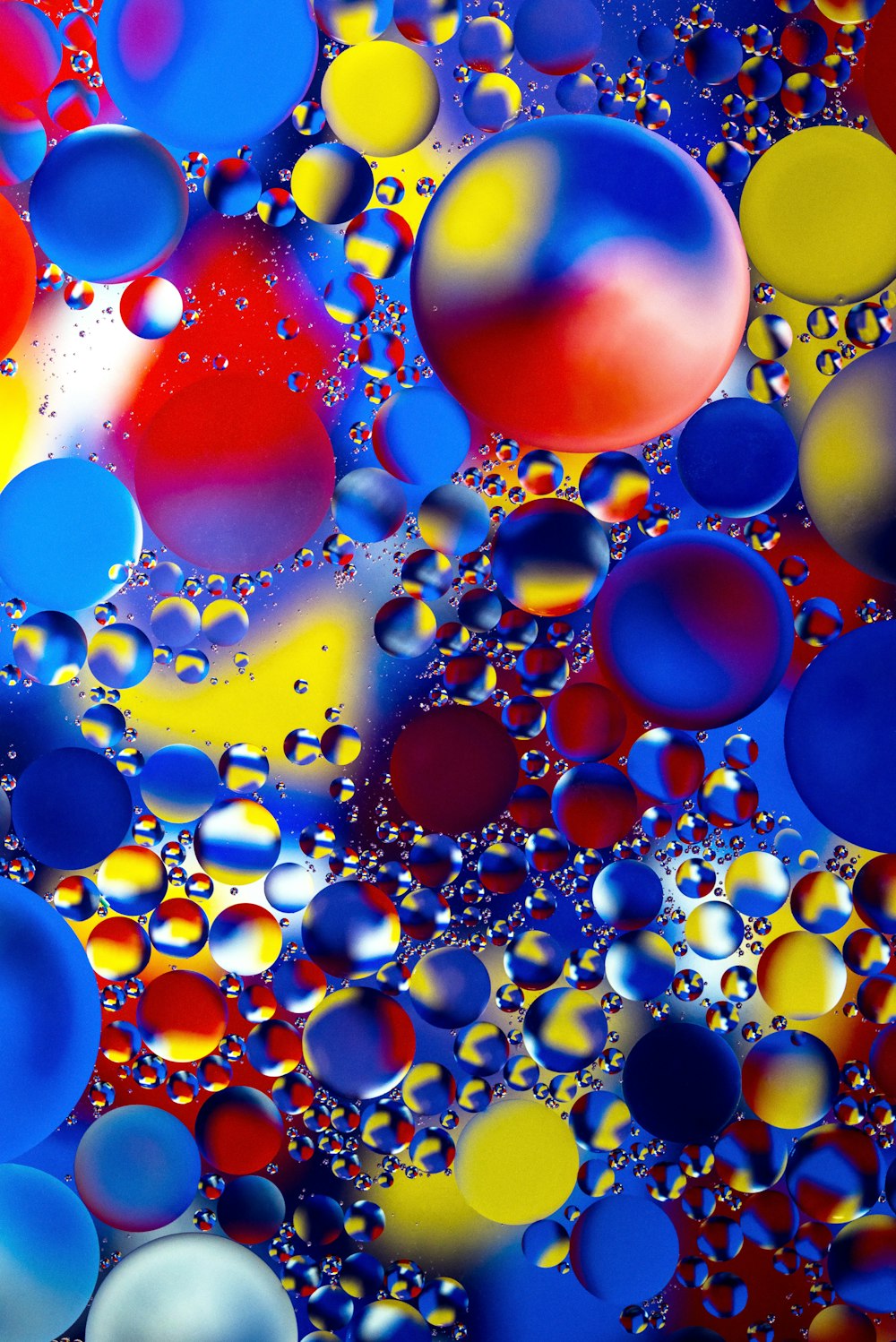 multicolored bubbles