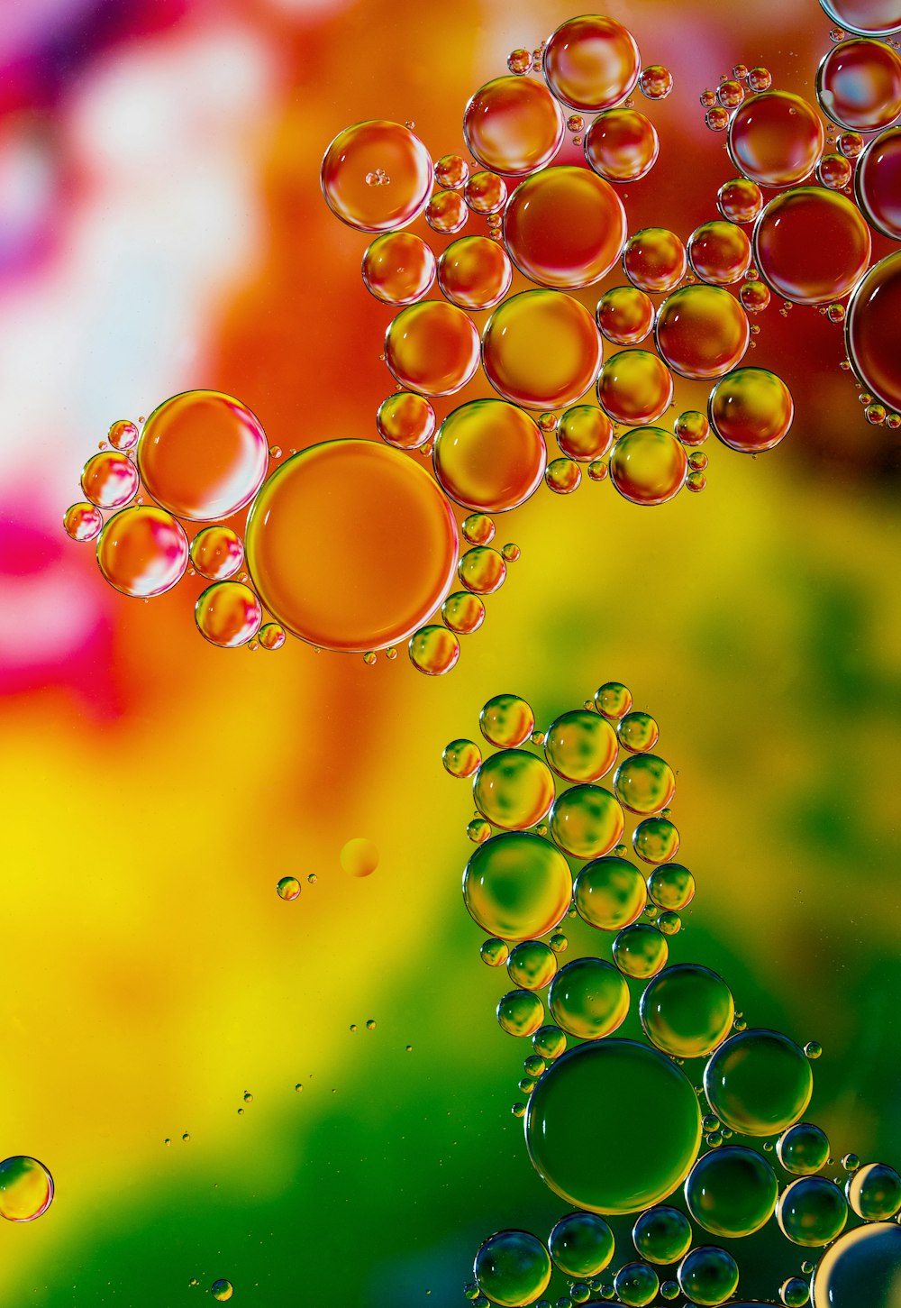 Burbujas de colores variados