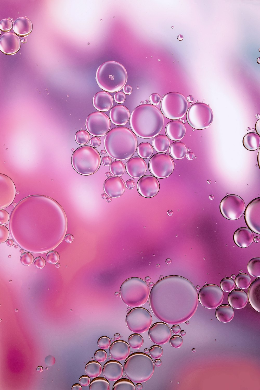 Eine Nahaufnahme von Blasen auf einem lila-rosa Hintergrund