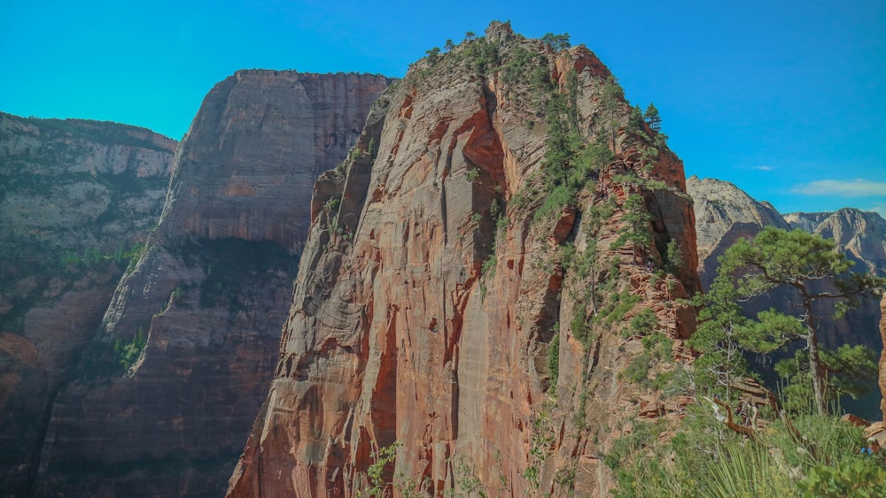 brown rock formation