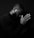 a man with his hands together in prayer