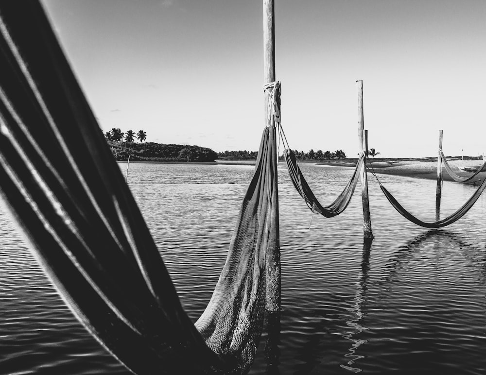 nets on body of water