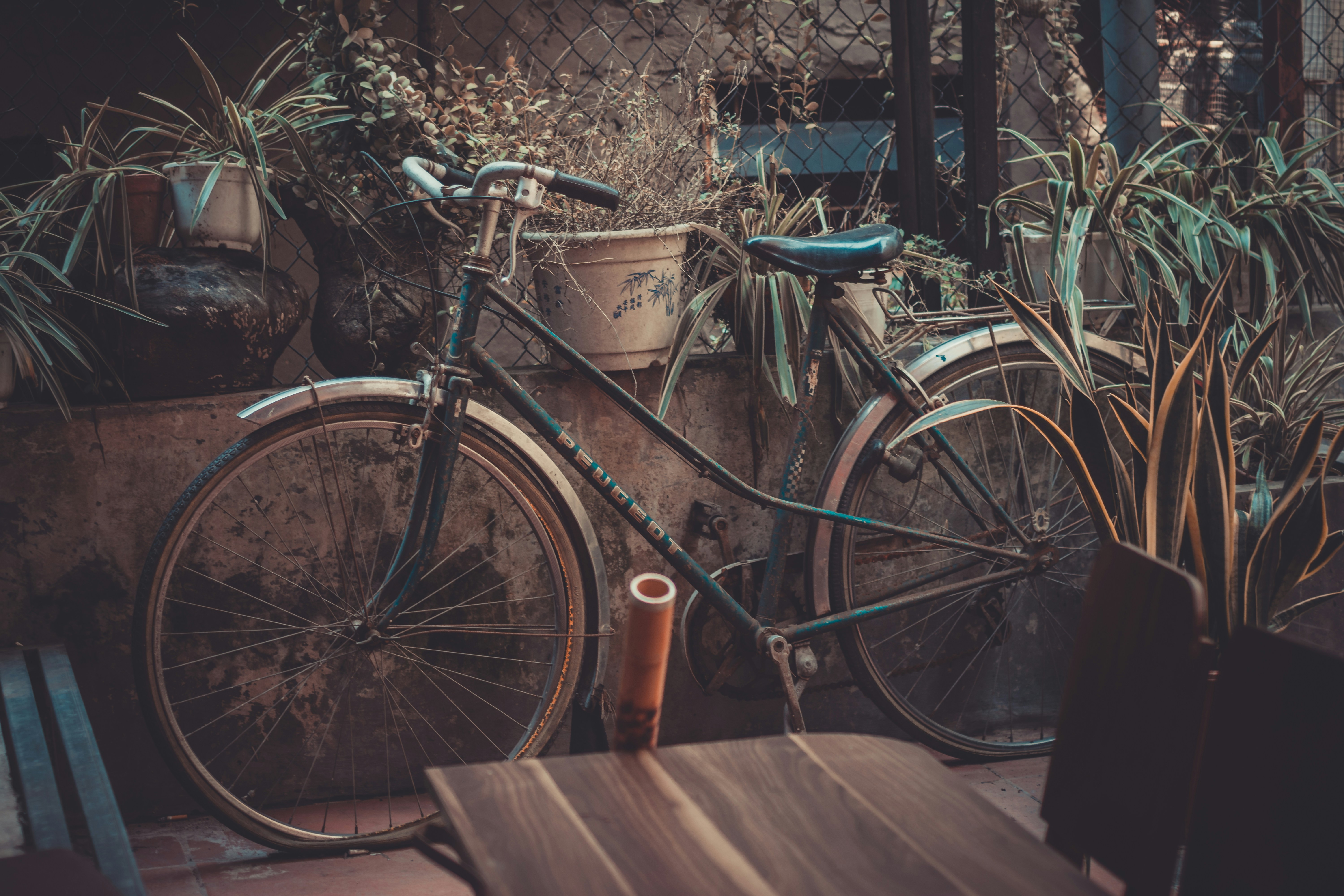 Photo by donald_tr4n