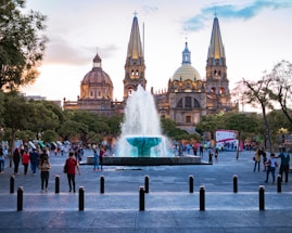people near water fountain
