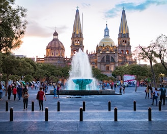 people near water fountain