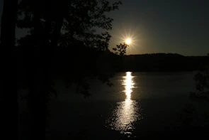 A serene sunset over a calm lake with silhouettes of trees reflecting on the water.